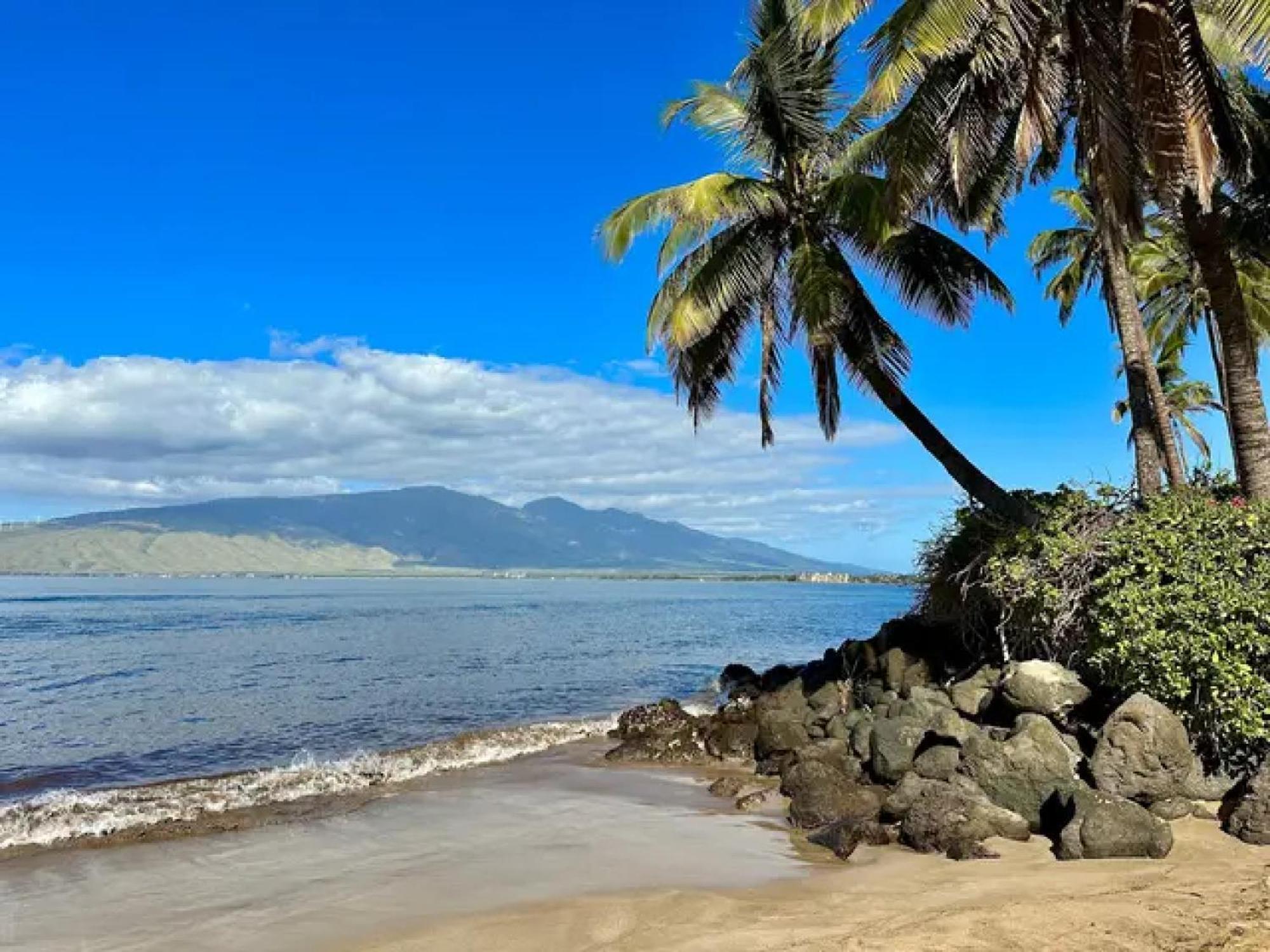 Cozy Maui Studio Retreat Just Steps To The Sand! Kīhei Exterior foto